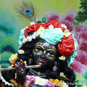 Krishna playing Flute WhatsApp DP Display Picture Profile Picture 26