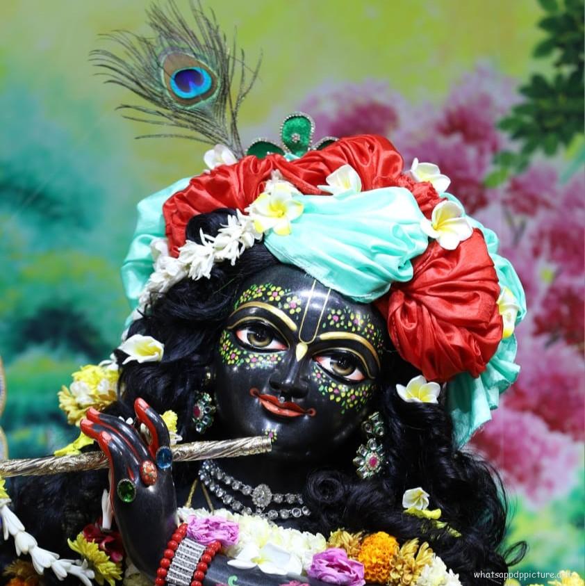 Krishna playing Flute WhatsApp DP Display Picture Profile Picture 26