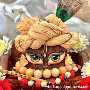 Krishna playing Flute WhatsApp DP Display Picture Profile Picture 28