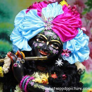 Krishna playing Flute WhatsApp DP Display Picture Profile Picture 29