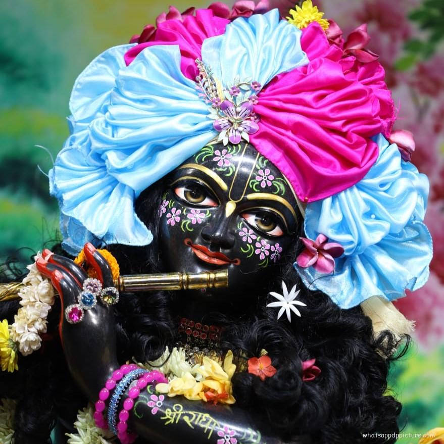 Krishna playing Flute WhatsApp DP Display Picture Profile Picture 29