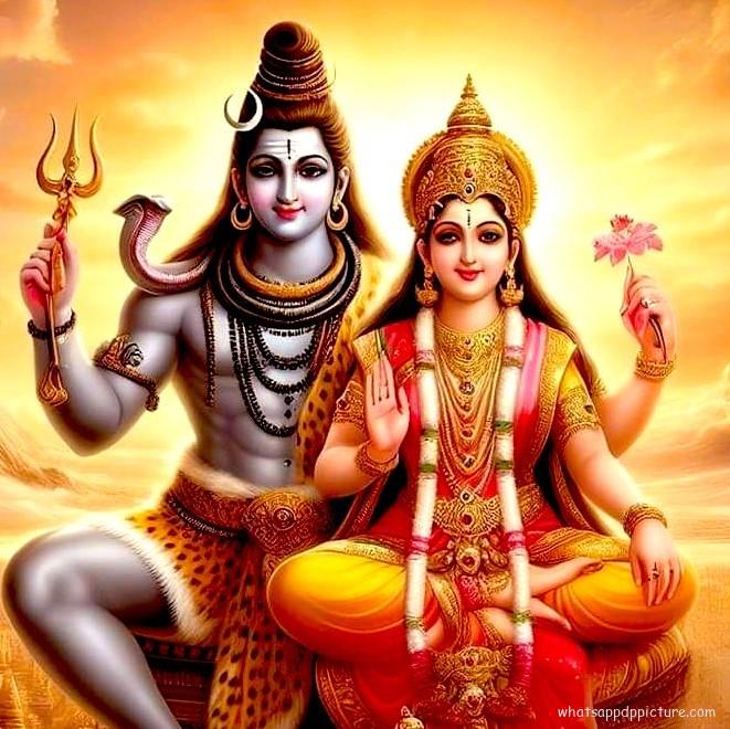 Lord Shiva WhatsApp DP Display Picture Profile Picture 24