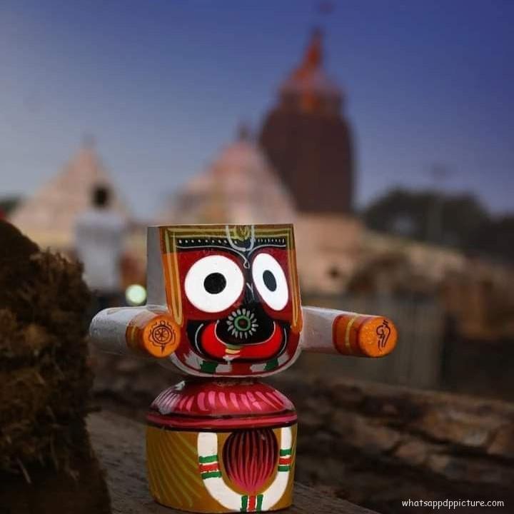 Puri Jagannath WhatsApp DP Display Picture 11