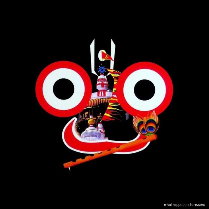 Puri Jagannath WhatsApp DP Display Picture 13