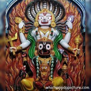 Puri Jagannath WhatsApp DP Display Picture 53