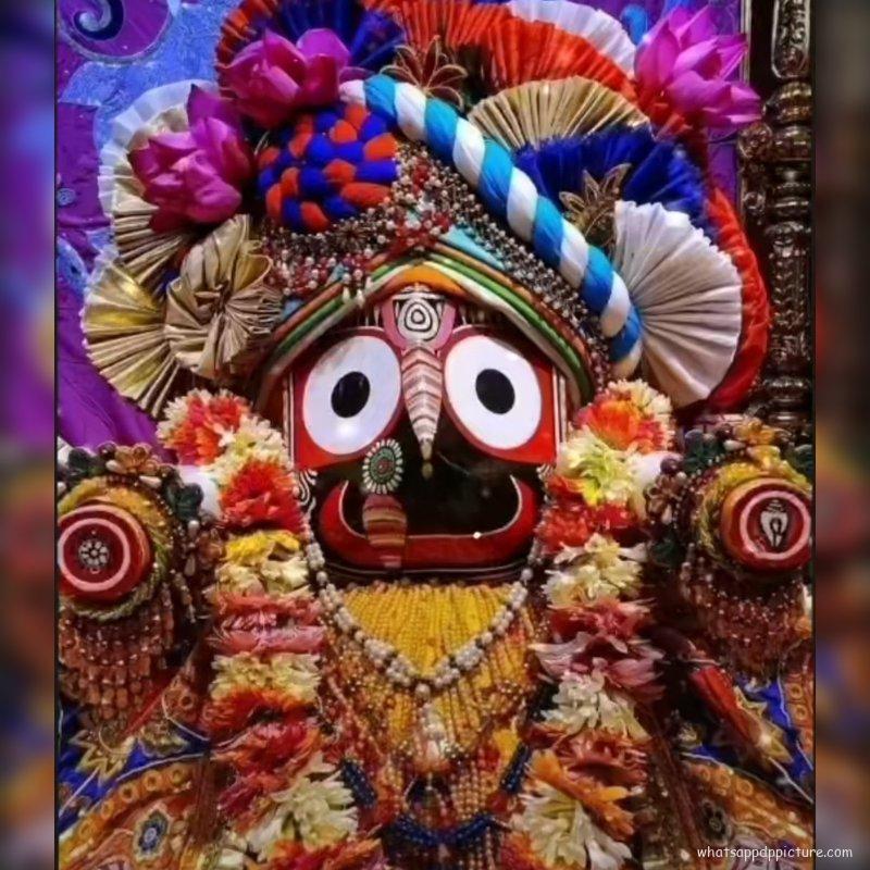 Puri Jagannath WhatsApp DP Display Picture 58