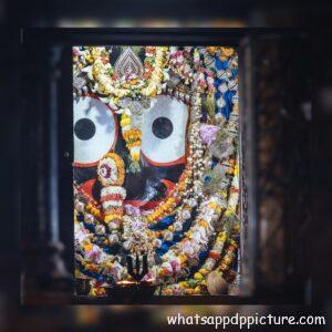 Puri Jagannath WhatsApp DP Display Picture 59