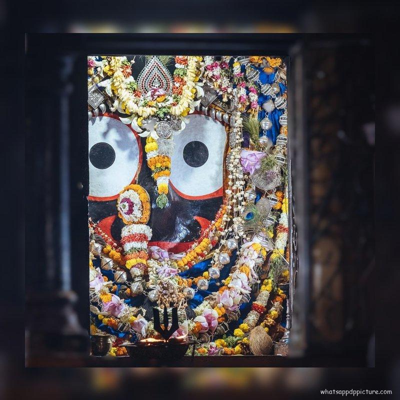 Puri Jagannath WhatsApp DP Display Picture 59