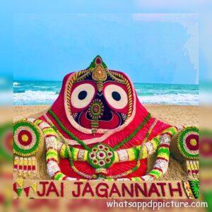 Puri Jagannath WhatsApp DP Display Picture 62