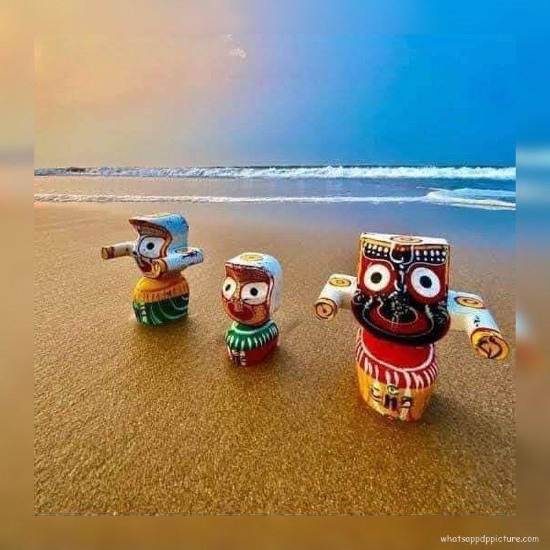 Puri Jagannath WhatsApp DP Display Picture 63