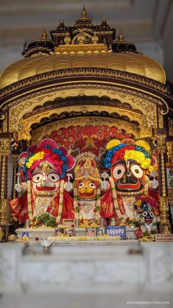 Puri Jagannath WhatsApp Status Picture 109