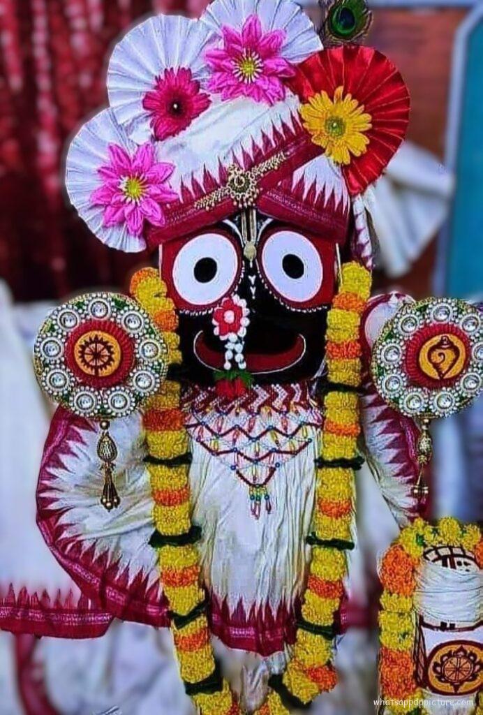 Puri Jagannath WhatsApp Status Picture 133