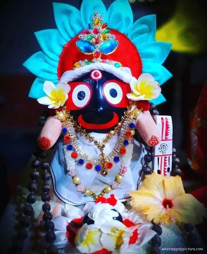 Puri Jagannath WhatsApp Status Picture 156