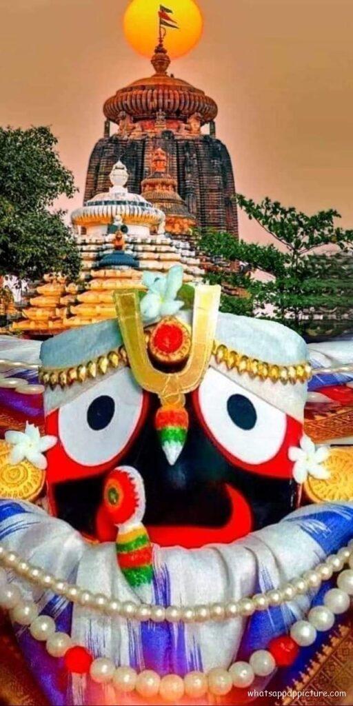 Puri Jagannath WhatsApp Status Picture 19