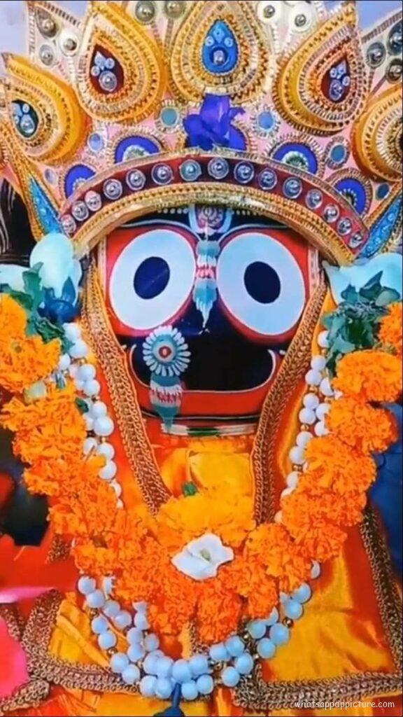 Puri Jagannath WhatsApp Status Picture 23