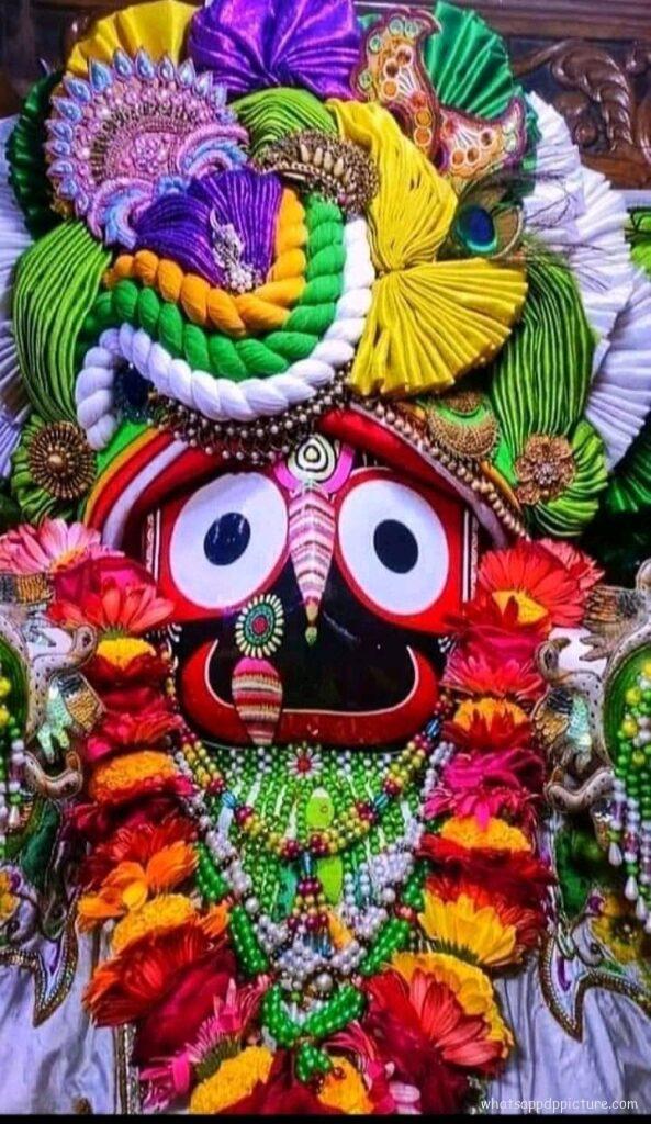 Puri Jagannath WhatsApp Status Picture 27