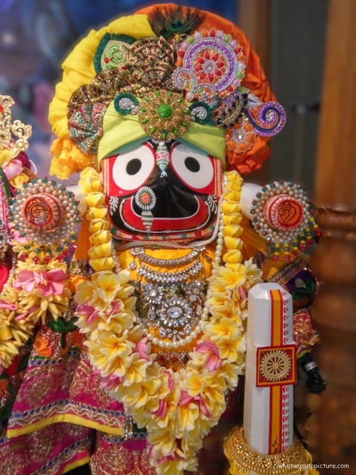 Puri Jagannath WhatsApp Status Picture 47