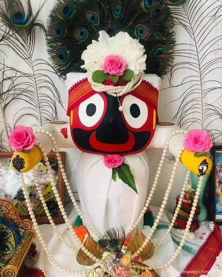 Puri Jagannath WhatsApp Status Picture 48