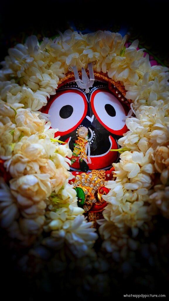 Puri Jagannath WhatsApp Status Picture 66