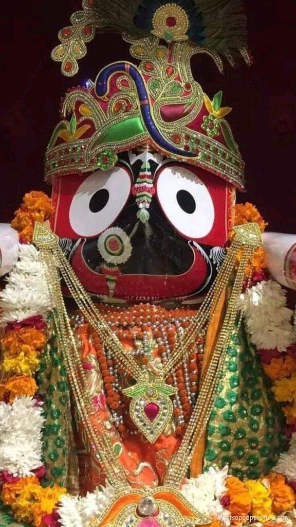 Puri Jagannath WhatsApp Status Picture 97