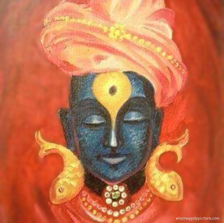 Vitthal Panduranga WhatsApp Display Picture DP Profile picture 25