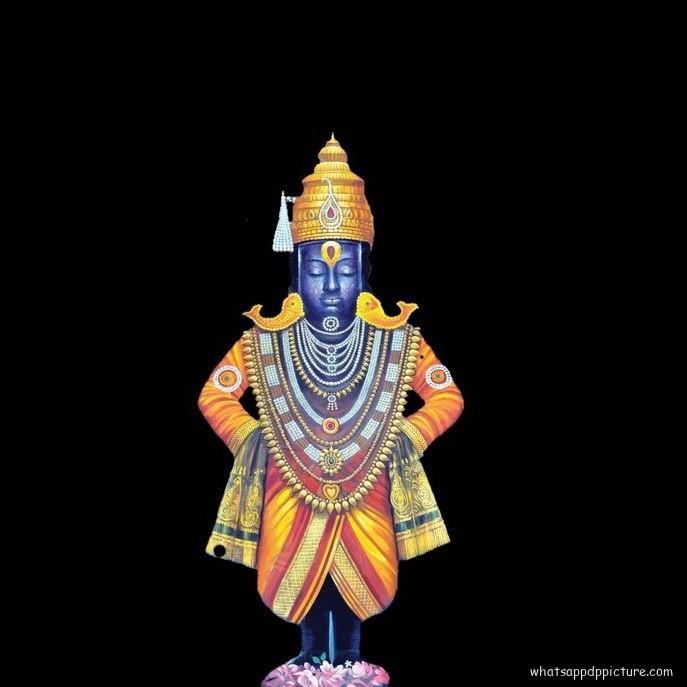 Vitthal Panduranga WhatsApp Display Picture DP Profile picture 29