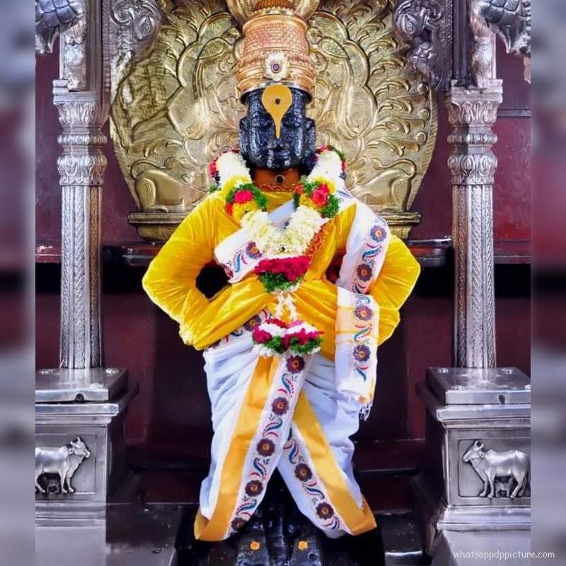 Vitthal Panduranga WhatsApp Display Picture DP Profile picture 32