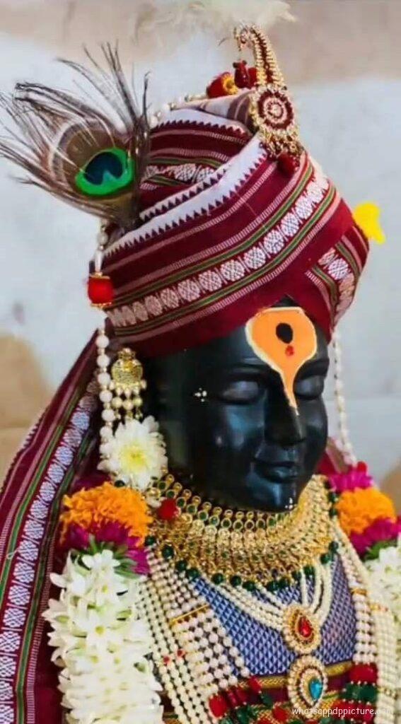 Vitthal Panduranga WhatsApp Status picture 25